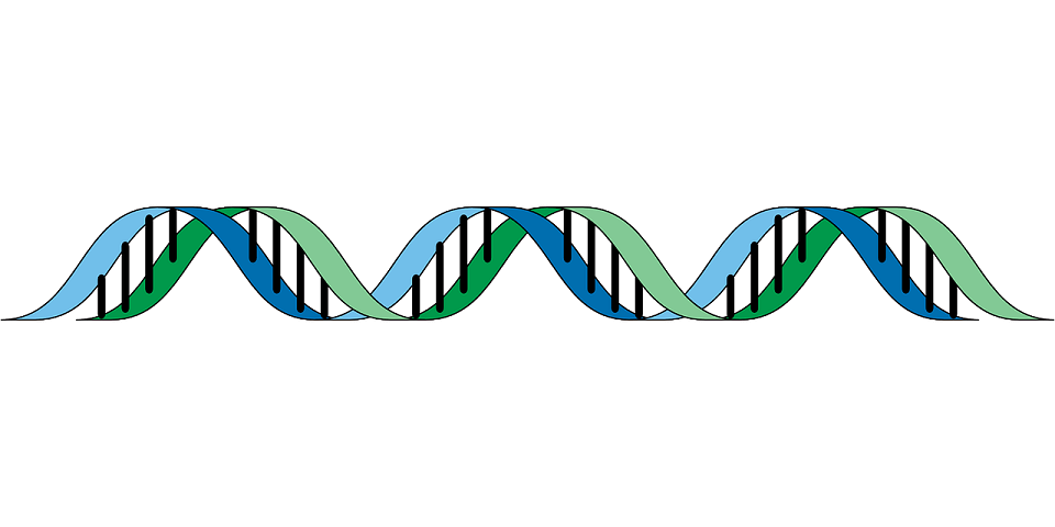 DNA Genetic Algorithm